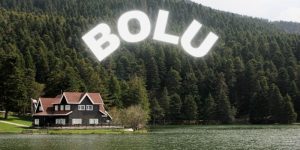 Bolu Parça Eşya Taşıma